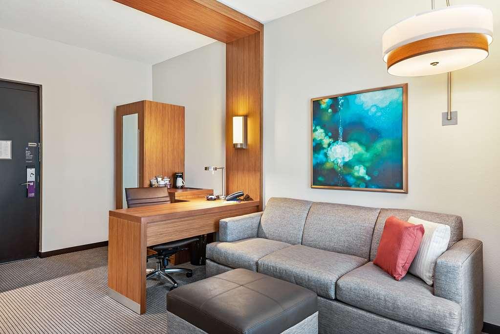 Hyatt Place Tampa/Wesley Chapel Lutz Room photo